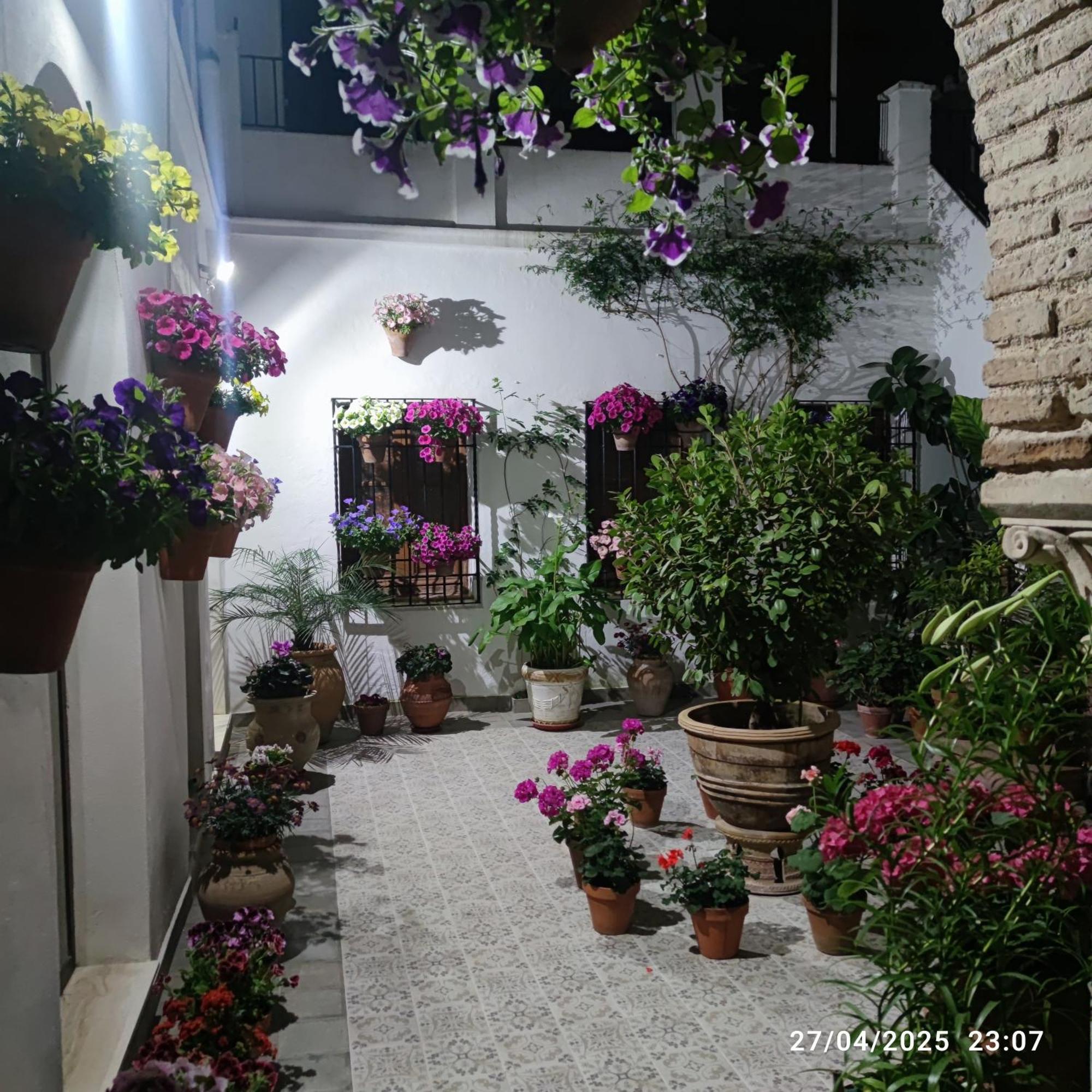 El Patio De Regina Apartment Cordoba Ngoại thất bức ảnh