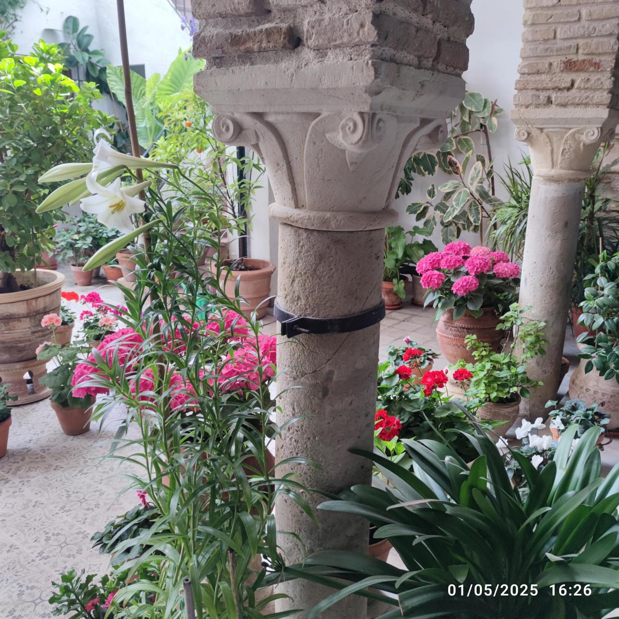 El Patio De Regina Apartment Cordoba Ngoại thất bức ảnh