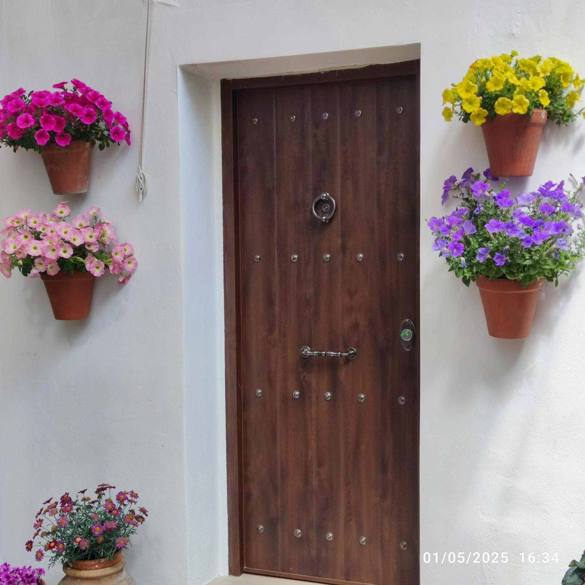 El Patio De Regina Apartment Cordoba Ngoại thất bức ảnh