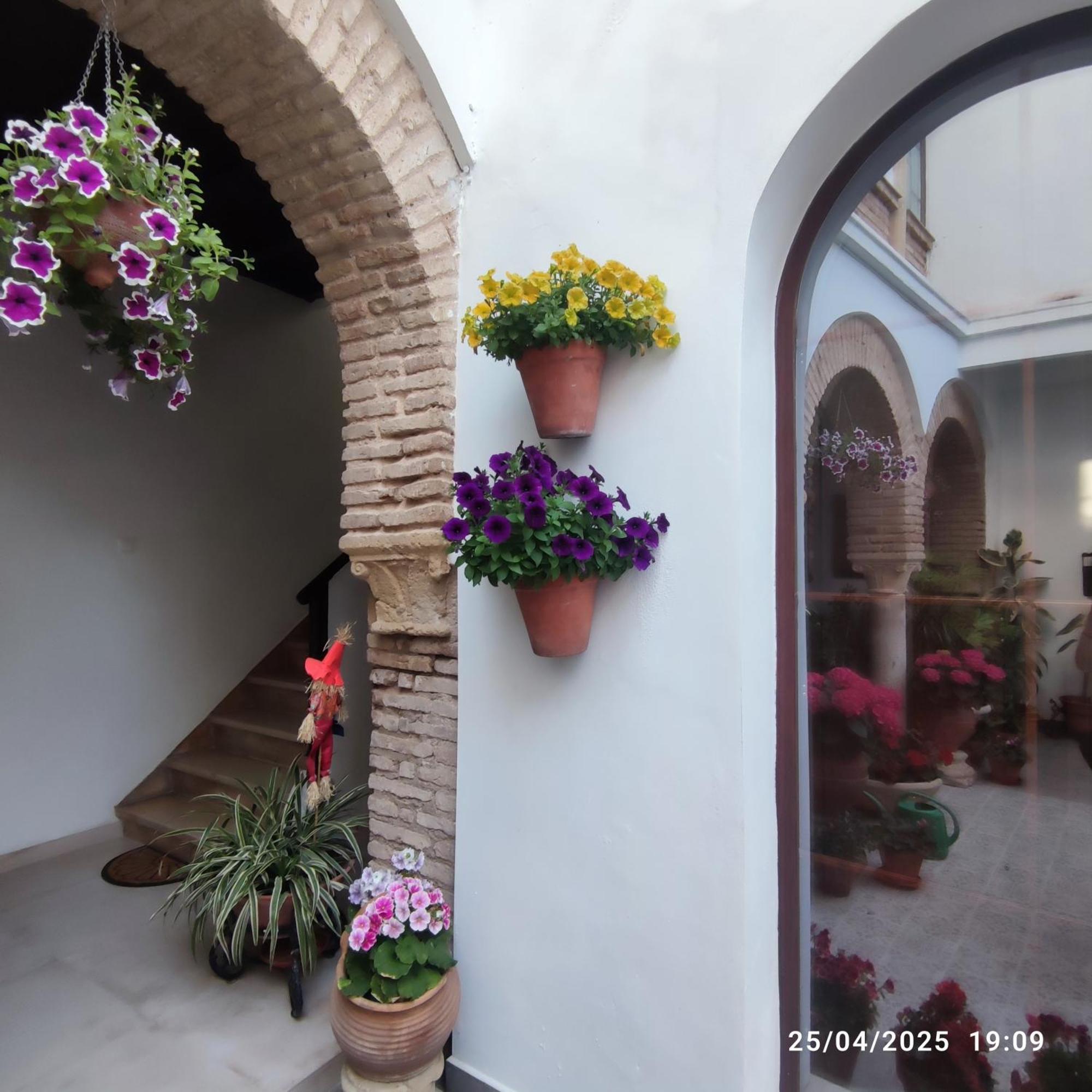 El Patio De Regina Apartment Cordoba Ngoại thất bức ảnh