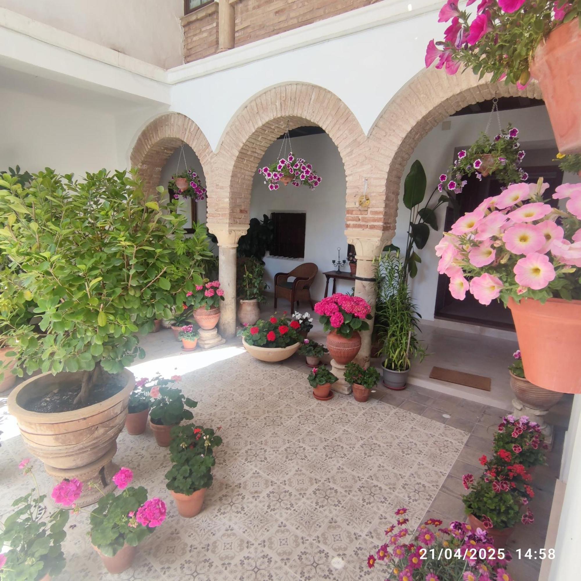 El Patio De Regina Apartment Cordoba Ngoại thất bức ảnh