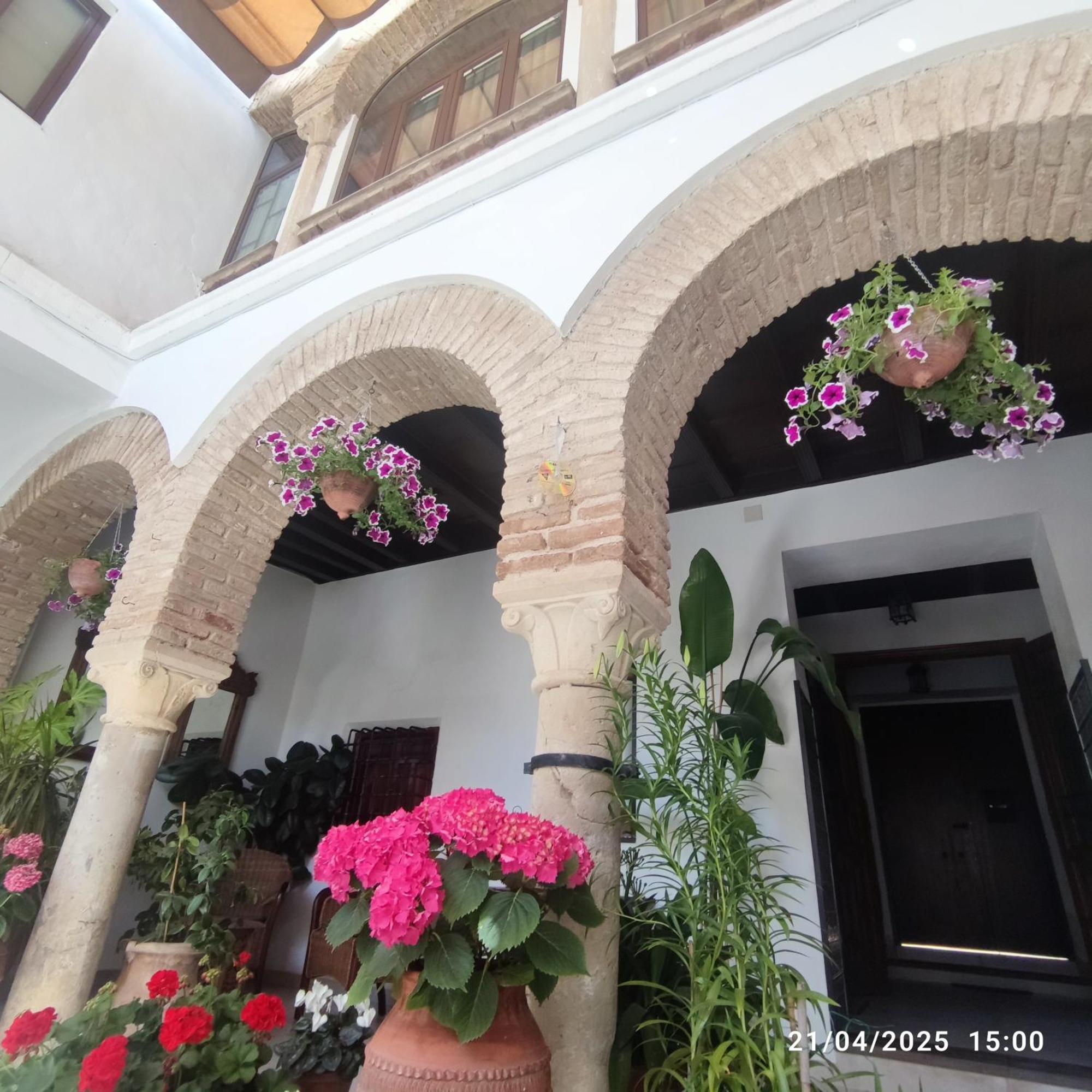 El Patio De Regina Apartment Cordoba Ngoại thất bức ảnh